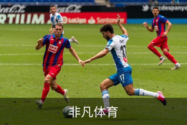 关于非凡体育